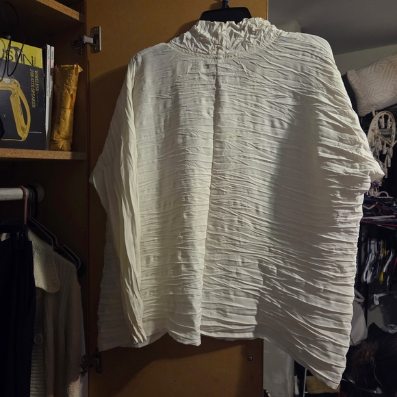 Chic Cream Ruffled Blouse - Picture 4 of 7